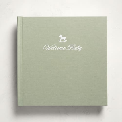 This is a sage all gifts by Minted called welcome baby - sage in standard