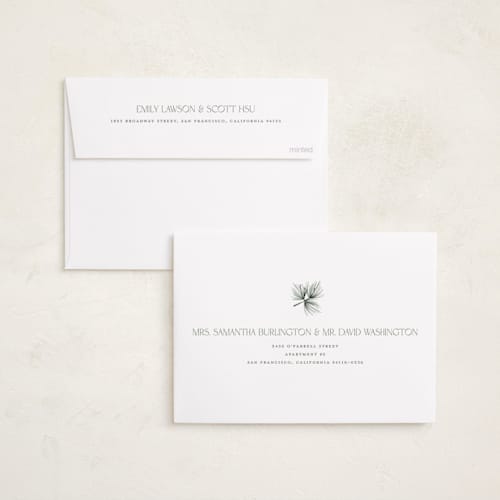 This is a balsam fir babys first christmas with standard by Benita Crandall called new addition printing on recycled smooth signature in standard