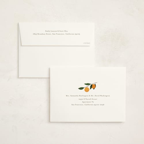 This is a clementine baby shower invitations with standard by Stacey Meacham called little cutie printing on signature in standard