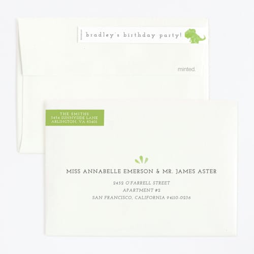 This is a lime kids birthday invitations with standard by Cindy Denning called dino party printing on signature in standard