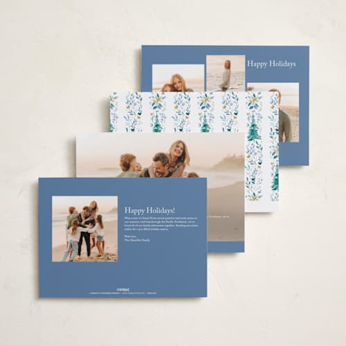 This is a blue spruce photo christmas cards with standard by Petra Kern called wonders of nature printing on recycled smooth signature in standard