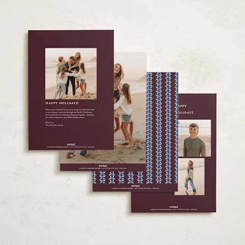 This is a fig photo christmas cards with standard by Alston Foster called sweet glory printing on recycled smooth signature in standard