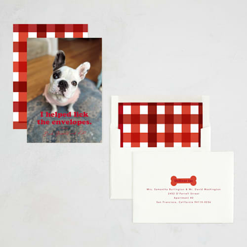 This is a chewed stocking photo christmas cards with standard by Hudson meet Rose called helping printing on recycled smooth signature in standard