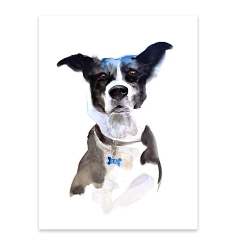 This is a multicolorassorted-colors commission art by Nate Abell called watercolor dog portrait, 9x12", commission painting in standard