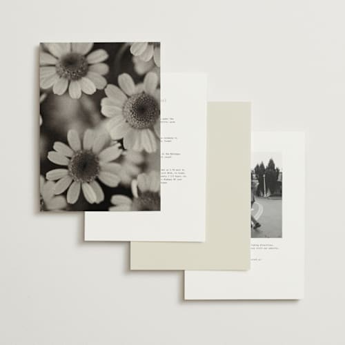 This is a vanilla wedding invitations with standard by Blustery August called nonnette printing on signature in grand