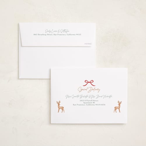 This is a pastel foil pressed holiday cards with foil pressed by Elly called flourish ornament printing on recycled smooth signature in standard