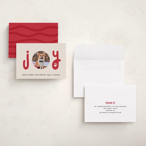 This is a candy cane petite holiday cards with standard by Louise Kay called joyful pet printing on recycled smooth signature in petite