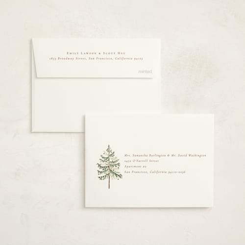 This is a snow petite holiday cards with standard by Amy Kross called vintage spruce printing on signature in petite