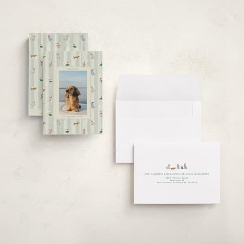 This is a frost petite holiday cards with standard by Daisyworks Studio called paws & pinstripes printing on signature in petite