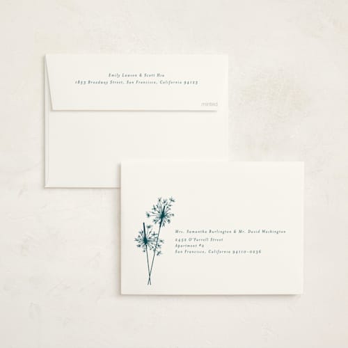 This is a peacock non photo holiday cards with standard by Paula Pecevich called sparklers printing on signature in standard