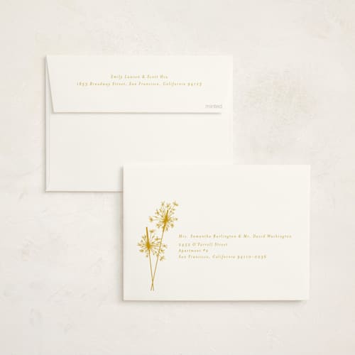 This is a champagne non photo holiday cards with standard by Paula Pecevich called sparklers printing on signature in standard
