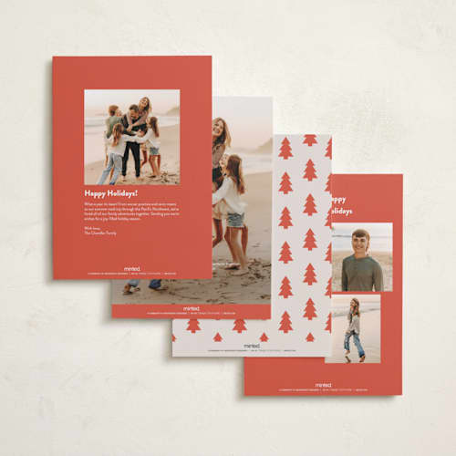 This is a cardinal new year photo cards with standard by Alethea and Ruth called basics printing on recycled smooth signature in standard