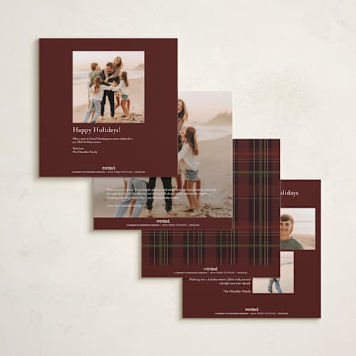 This is a holly berry holiday photo cards with standard by Elly called cozy love printing on recycled smooth signature in square
