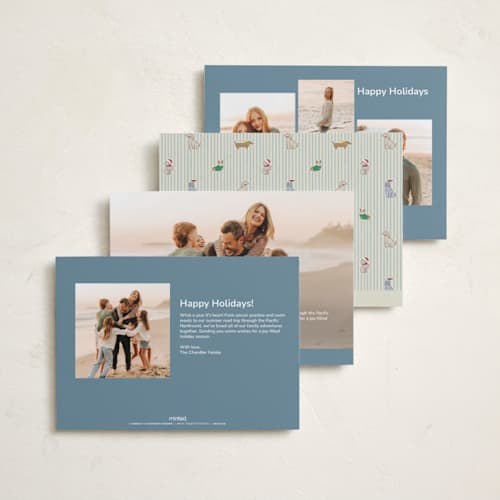 This is a frost holiday photo cards with standard by Daisyworks Studio called paws & pinstripes printing on recycled smooth signature in standard