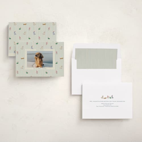 This is a frost holiday photo cards with standard by Daisyworks Studio called paws & pinstripes printing on recycled smooth signature in standard