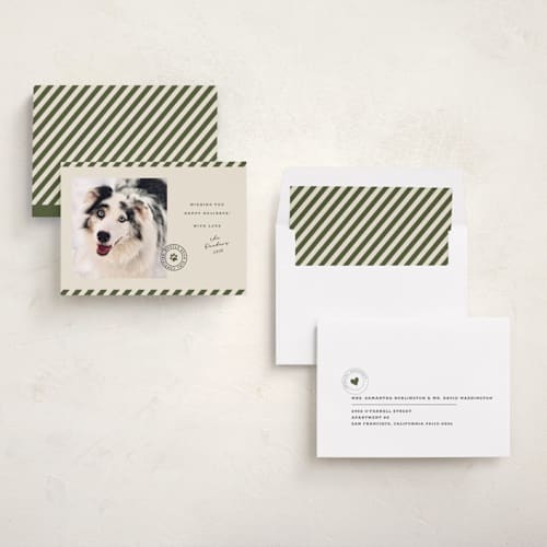 This is a forest holiday photo cards with standard by Roxy Cervantes called mostly good printing on recycled smooth signature in standard