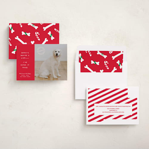 This is a holly holiday photo cards with standard by The Social Type called naughty holiday dog printing on recycled smooth signature in standard