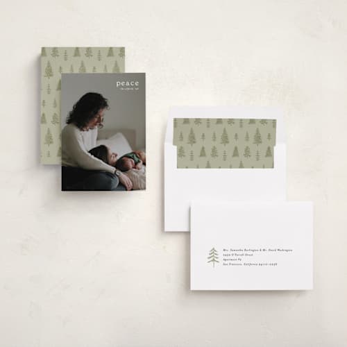 This is a snow holiday photo cards with standard by Amy Kross called emblem printing on recycled smooth signature in standard