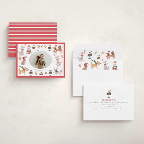 This is a berry holiday photo cards with standard by Teju Reval called festive dogs printing on recycled smooth signature in standard