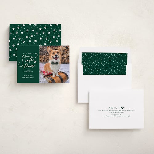 This is a wintergreen holiday photo cards with standard by Everett Paper Goods called here comes santa paws printing on recycled smooth signature in standard
