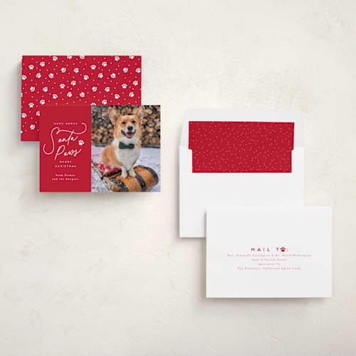 This is a candied apple holiday photo cards with standard by Everett Paper Goods called here comes santa paws printing on recycled smooth signature in standard