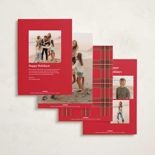 This is a cardinal holiday photo cards with standard by Cindy Reynolds called navy baby printing on recycled smooth signature in standard