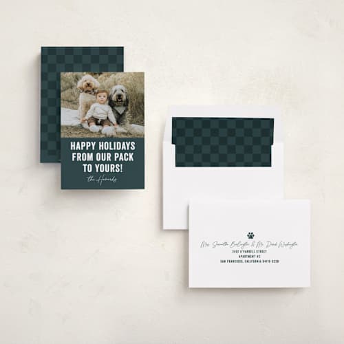 This is a blue spruce holiday photo cards with standard by Brooke Chandler called our pack to yours printing on recycled smooth signature in standard