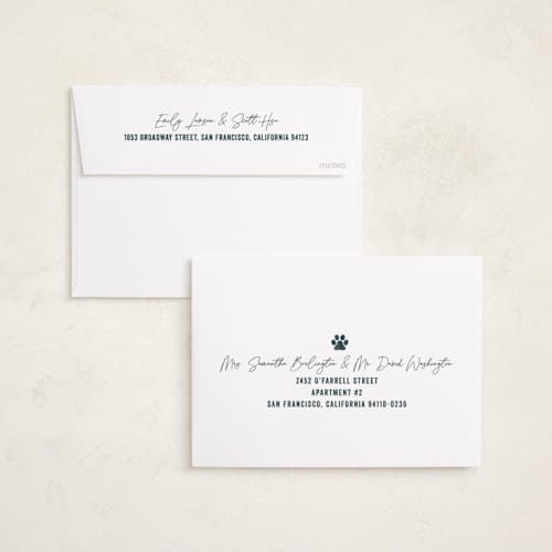 This is a blue spruce holiday photo cards with standard by Brooke Chandler called our pack to yours printing on recycled smooth signature in standard