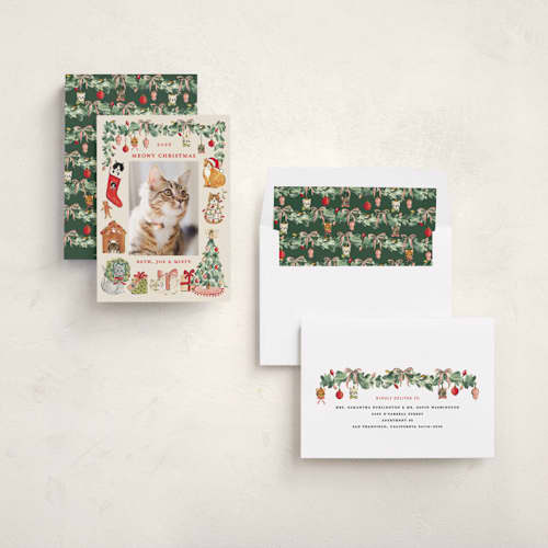 This is a vintage holiday photo cards with standard by Sarah Knight called meowy christmas printing on recycled smooth signature in standard