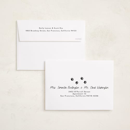 This is a snow holiday photo cards with standard by Annie Holmquist called unleashed printing on recycled smooth signature in standard