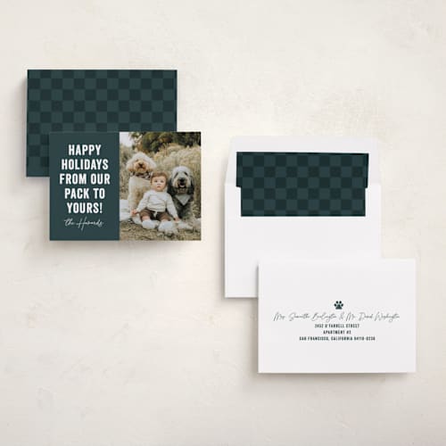 This is a blue spruce holiday photo cards with standard by Brooke Chandler called our pack to yours printing on recycled smooth signature in standard