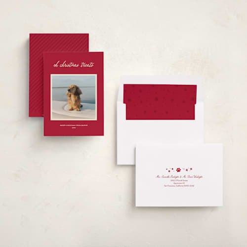 This is a red chew toy holiday photo cards with standard by Sarah Hawkins Designs called christmas treats printing on recycled smooth signature in standard