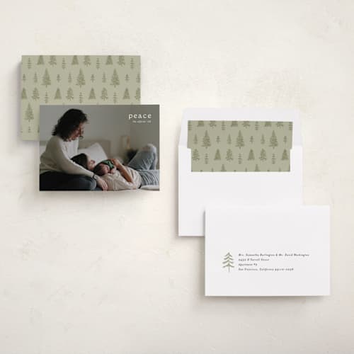 This is a snow holiday photo cards with standard by Amy Kross called emblem printing on recycled smooth signature in standard