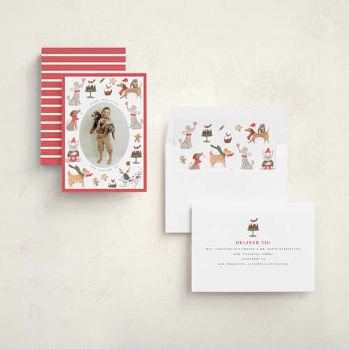 This is a berry holiday photo cards with standard by Teju Reval called festive dogs printing on recycled smooth signature in standard