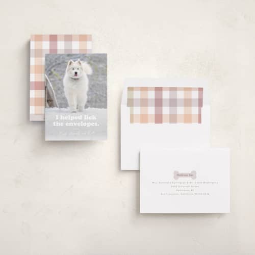 This is a bone holiday photo cards with standard by Hudson meet Rose called helping printing on recycled smooth signature in standard