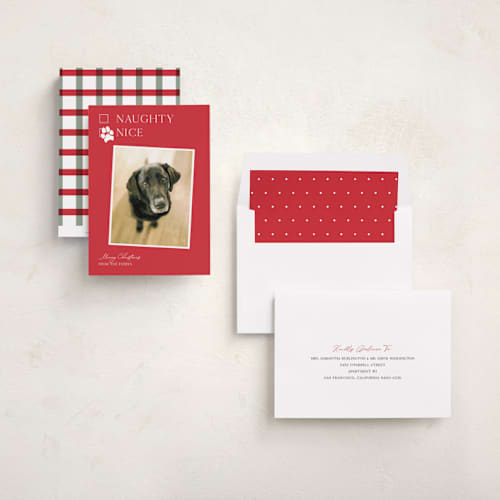 This is a poinsettia holiday photo cards with standard by Kat Roberts called nice pup printing on recycled smooth signature in standard