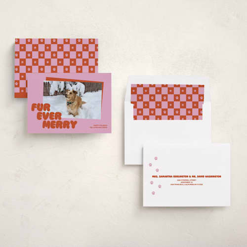 This is a berry holiday photo cards with standard by Inkblot Design called furever printing on recycled smooth signature in standard