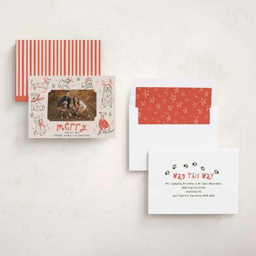 This is a cranberry holiday photo cards with standard by Vera Lim called doggy merry printing on recycled smooth signature in standard