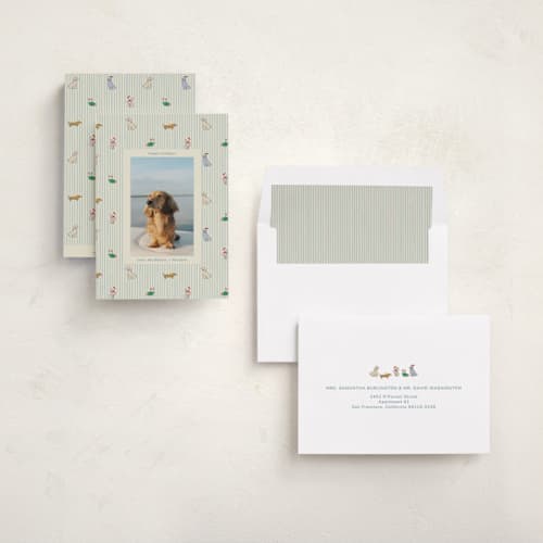 This is a frost holiday photo cards with standard by Daisyworks Studio called paws & pinstripes printing on recycled smooth signature in standard