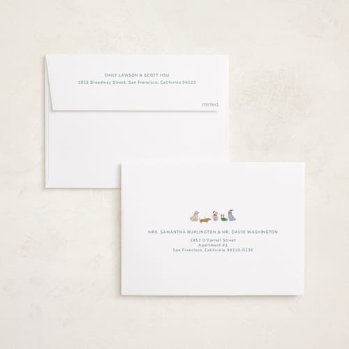 This is a frost holiday photo cards with standard by Daisyworks Studio called paws & pinstripes printing on recycled smooth signature in standard