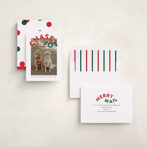 This is a holly holiday photo cards with standard by Angela Garrick called chase joy printing on recycled smooth signature in standard