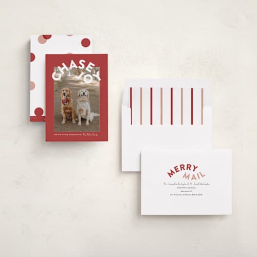 This is a cranberry holiday photo cards with standard by Angela Garrick called chase joy printing on recycled smooth signature in standard