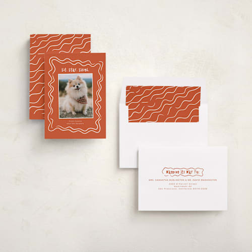 This is a holly holiday photo cards with standard by Vera Lim called wiggly lines printing on recycled smooth signature in standard