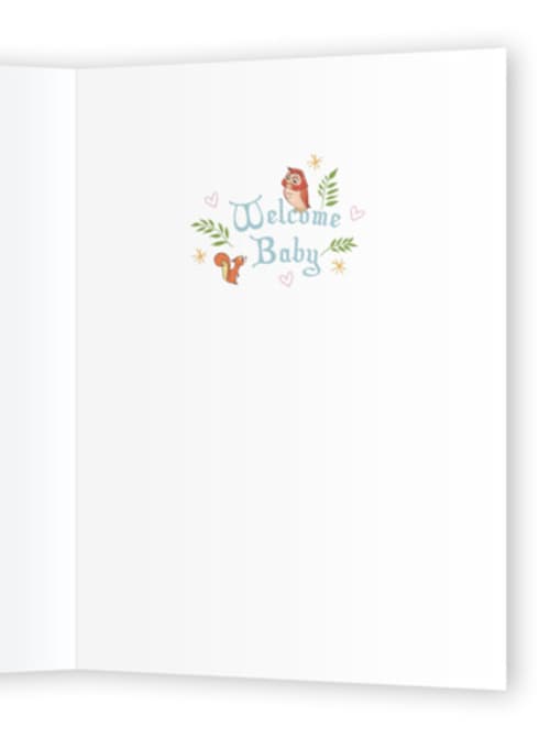 This is a aquamarine new baby greeting cards with standard by Becky Nimoy called disney's aurora cradle welcome baby printing on signature in greeting cards