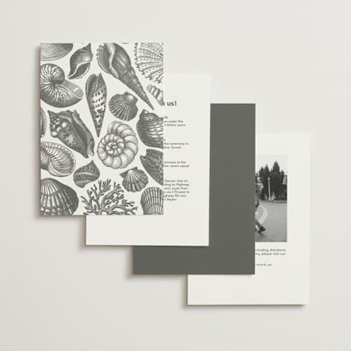 This is a silk foil stamped wedding invitations with foil pressed by Kelly Schmidt called seashore printing on signature in standard