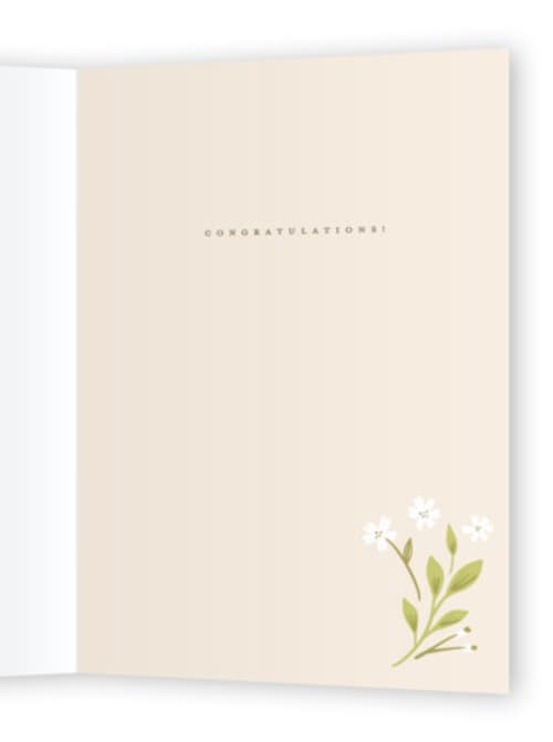 This is a spruce graduation cards with standard by Ana Sharpe called grad diploma printing on signature in greeting cards