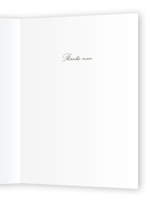 This is a eucalyptus mothers day cards with standard by Claudia Orengo called evergreen printing on signature in greeting cards