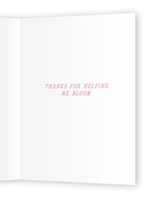 This is a rose mothers day cards with standard by Sarah Knight called y'orchid printing on signature in greeting cards