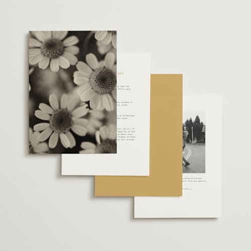 This is a butter wedding invitations with standard by Blustery August called nonnette printing on signature in standard