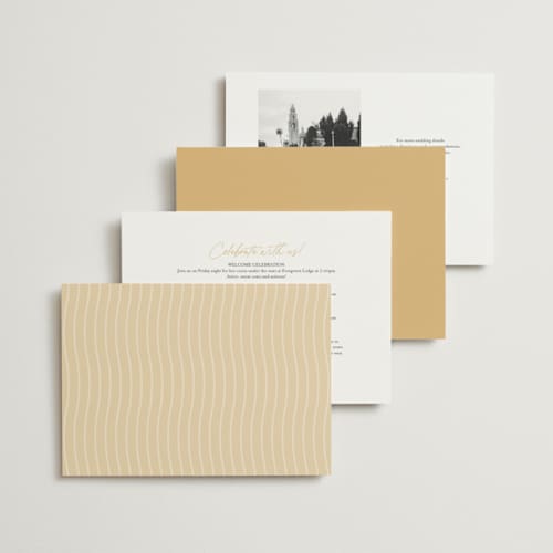 This is a champagne wedding invitations with standard by Wallace Design Co. called french whimsy script printing on signature in standard